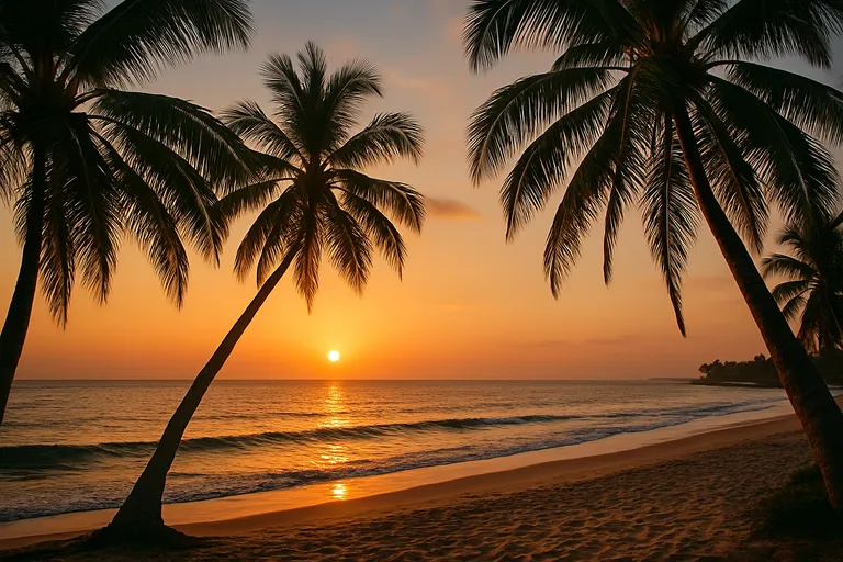 Zon, zeebries en tropische avonden: weer en klimaat in bakau aan de kust van Gambia